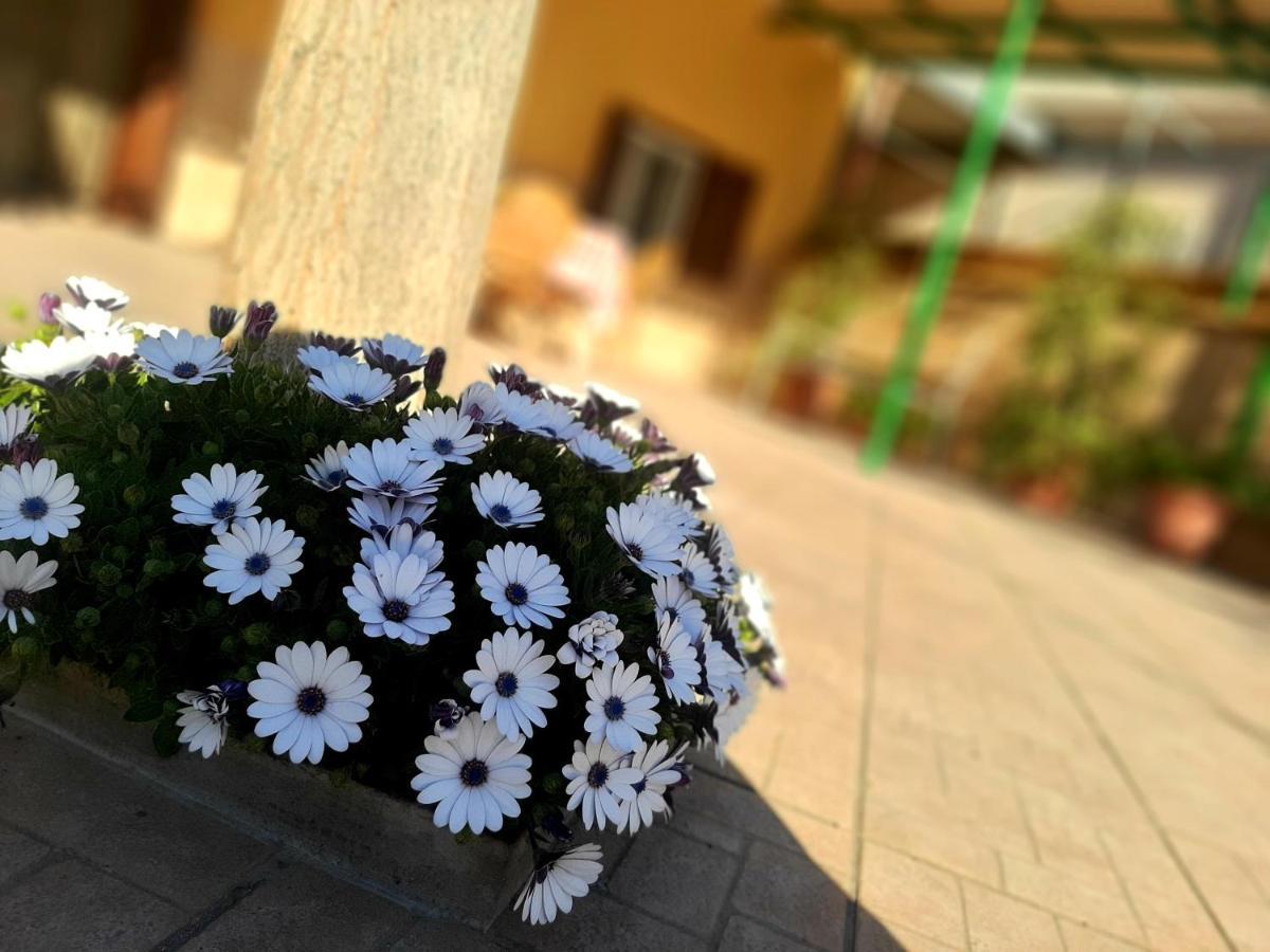 Villa Carrieri Marina di Lizzano Kültér fotó