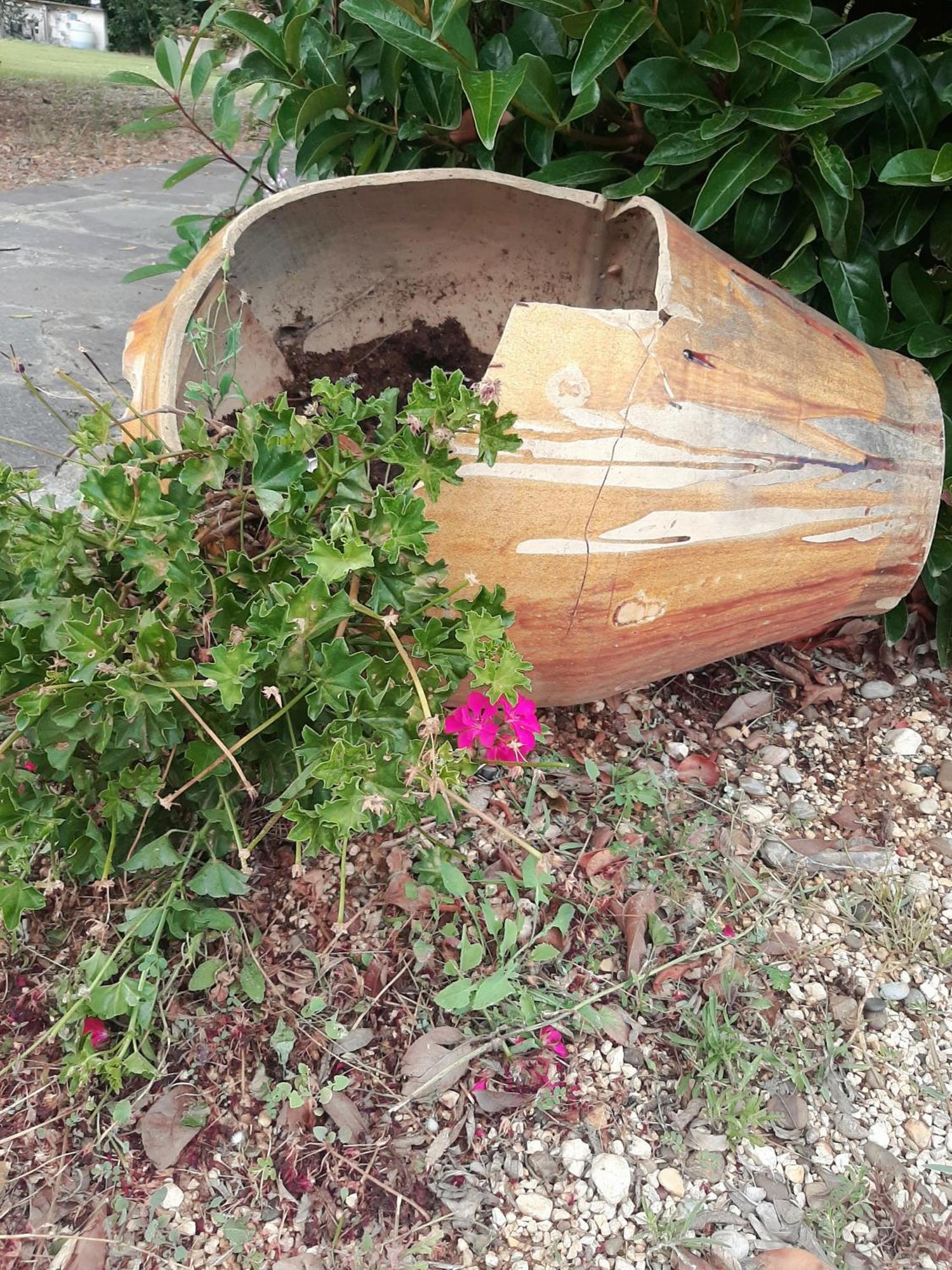 Villa Carrieri Marina di Lizzano Kültér fotó