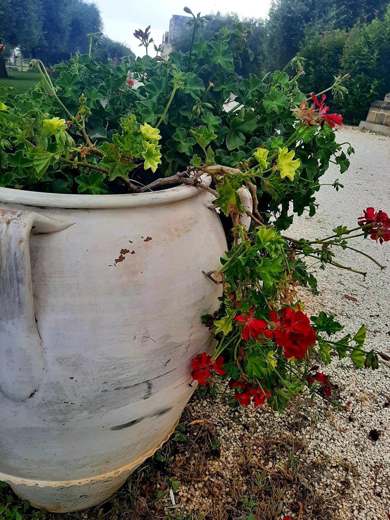 Villa Carrieri Marina di Lizzano Kültér fotó